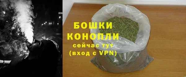 прущий лед Богданович