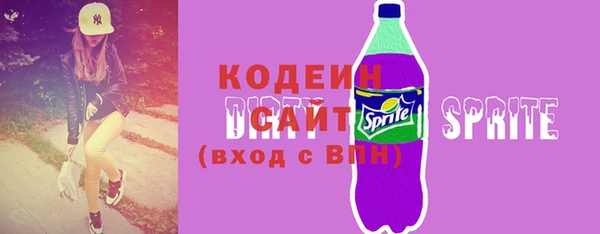 прущий лед Богданович