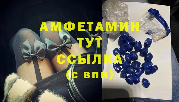 прущий лед Богданович