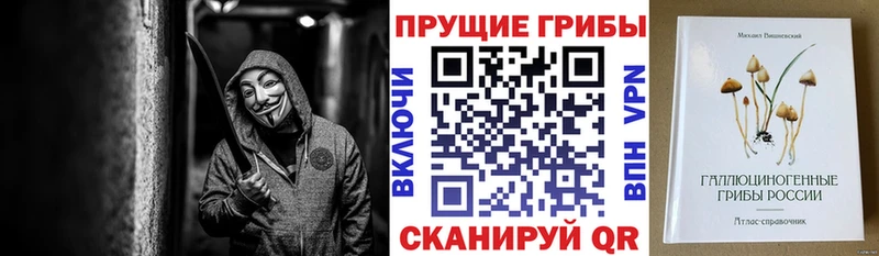 Галлюциногенные грибы мицелий Южно-Сухокумск